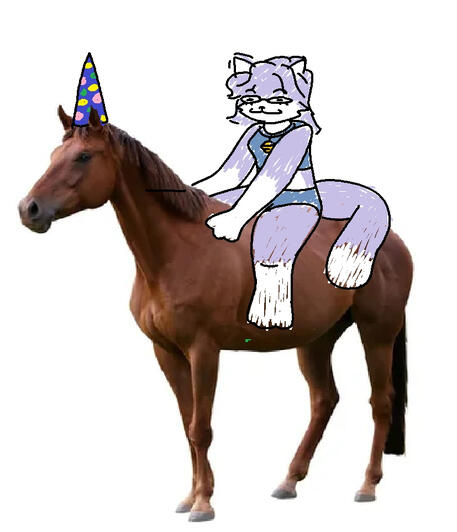 me riding a horse with a funny hat on drawn by splorg8